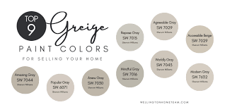 Top 9 Perfect Greige Paint Colors For