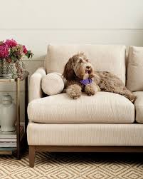 best couch fabric for dogs