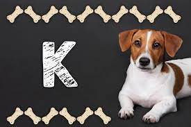 dog names that start with k por