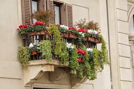 Your Balcony Or Roof Garden