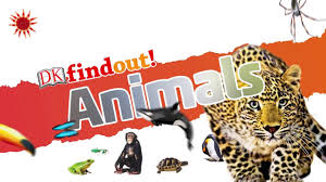 Animal Adaptation Homework Help Animal Adaptation