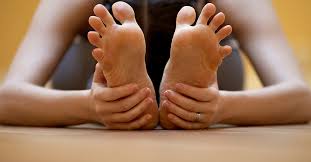 Other articles where foot is discussed: 19 Toe Stretches And Exercises To Try