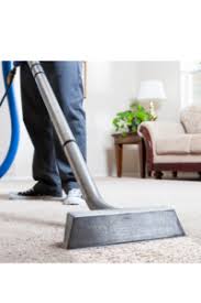 top rated carpet cleaner in seattle
