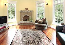 sunshine on your rugs yes or no