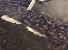 re carpet cleaning services
