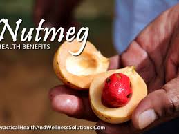 6 nutmeg benefits myristica fragrans