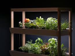 hydroponic gardening offers a e