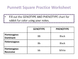 Complete the punnett square for the following individuals: Monday Make A Connection Ppt Download
