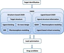 Flow Chart Of Cadd In Drug Discovery Design Ligand Based