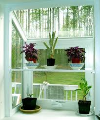 plants inside rooms