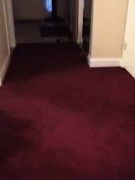 wall to wall carpet burgundy