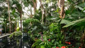 visit new york botanical gardens in