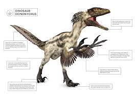 We did not find results for: How Dinosaurs Became Birds