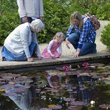 6 Ways To Make A Pond Safe For Toddlers