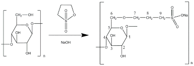 diffeiation of human keratinocytes