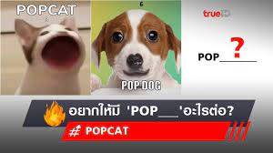 Popcat เกม popcat popcat คือ popcat click popcat ไทย เล่น popcat click เล่น popcat game popcat game. Resobnsee9ksfm