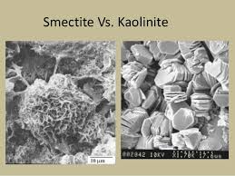 smectite kaolinite에 대한 이미지 검색결과