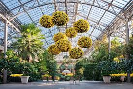 From planning to execution, our team of expert planners will ensure your event is a success. 13 Festivals At Botanic Gardens 2018