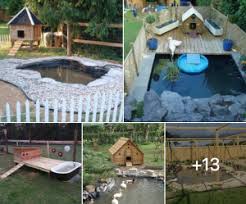 So we will anchor the house to make sure they'll be safe. How To Build A Duck House And A Clean Duck Pond Off Grid Living Learning How To Live Off The Grid