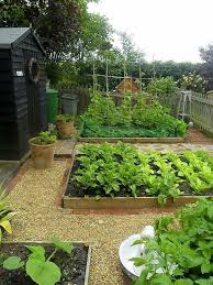 29 edging plants for kitchen gardens