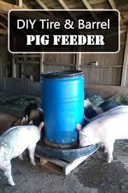 a pig feeder with a tire and barrel