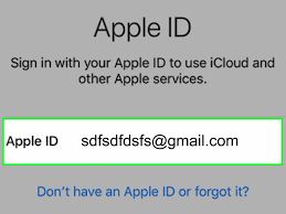 primary apple id phone number on an iphone
