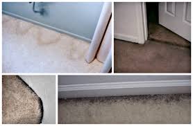 how to clean the dirty edges of carpet