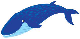 cartoon whale images browse 92 133