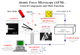 atomic force microscopy lnf wiki