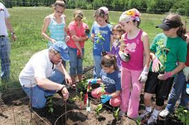 local scouts plant veggies for r i