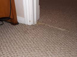 stop cats scratching carpet near door