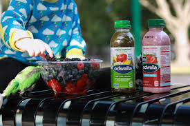 Nourish on the Go with Odwalla! | Donuts and Drama