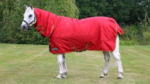 um weight turnout rugs for horses