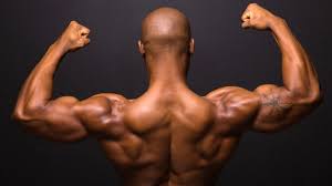 shoulder exercises for building muscle