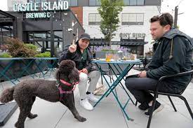 dog friendly dining and drinking starts