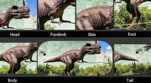 Dinosaur Garden Statue T Rex For