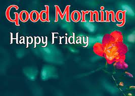 We've prepared popular happy friday saying with funny images. Good Morning Happy Friday Quotes Happy Friday Images In 2020 Good Morning Happy Friday Happy Friday Quotes Good Morning Happy