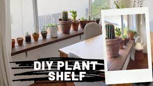 easy diy window ledge plant shelf