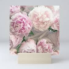 Shabby Chic Pastel Pink Peonies Wall