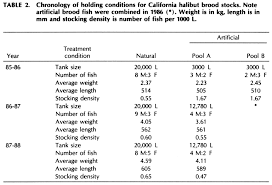 The California Halibut Paralichthys Californicus Resource
