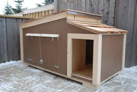 Custom Dog Houses Build A Dog House