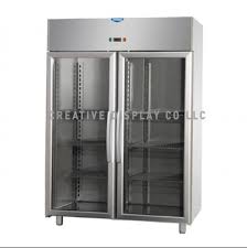 Ss Commercial Upright Freezer For