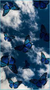 Blue Butterfly Wallpaper Aesthetic ...