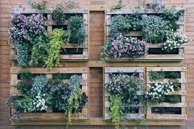 construct a perfect vertical garden