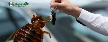 Can Bed Bugs Live In Your Car
