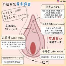 陰道 高潮 的 感覺