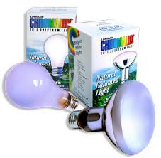 Full Spectrum Light Bulb 50 100 150 Watt 3 Way