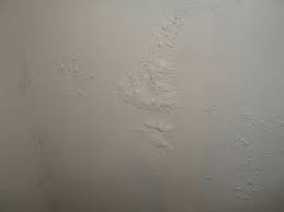 Ling Paint On Ceiling 5 Useful