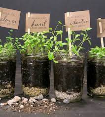 Mason Jar Kitchen Herb Garden Package