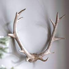 Bjorn Antler Wall Art White